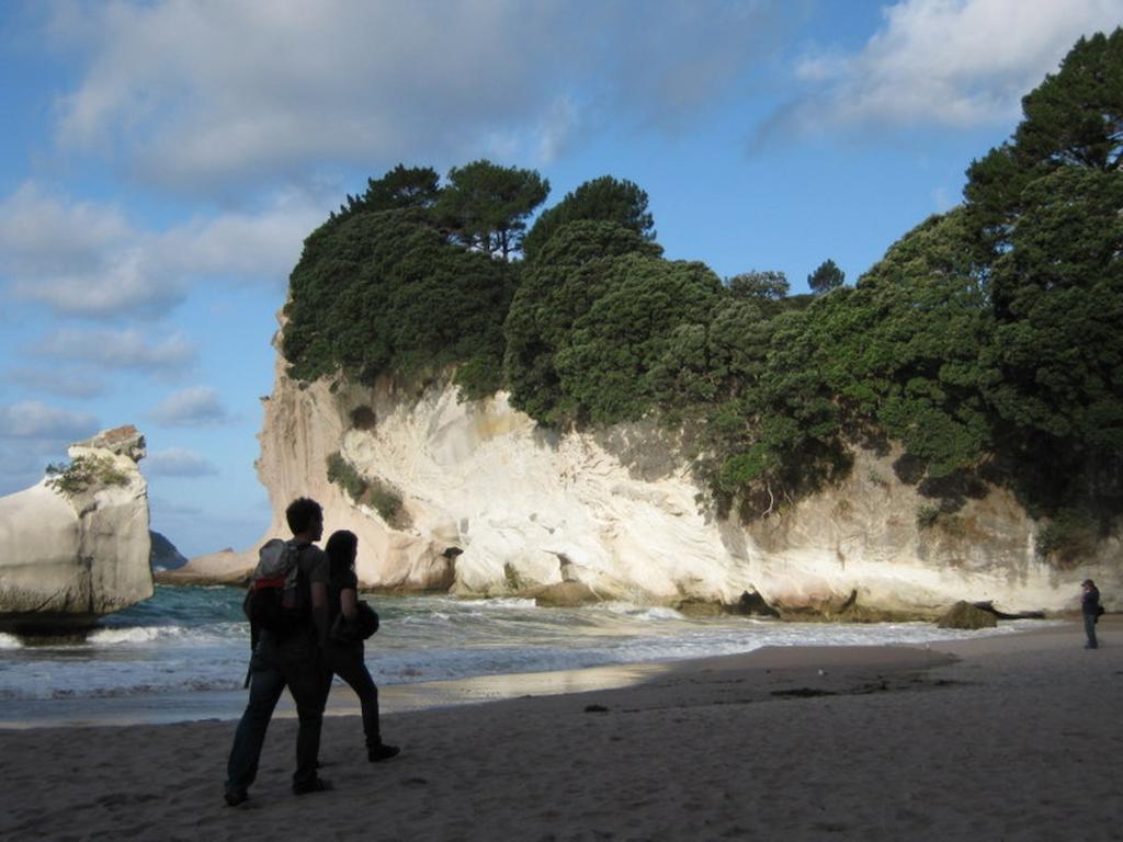 Cathedral Cove Apartment Hahei Bilik gambar